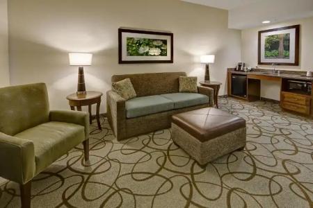 Hilton Garden Inn Charleston / Mt. Pleasant - 101