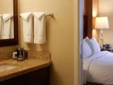 1 Bedroom Presidential Double Suite