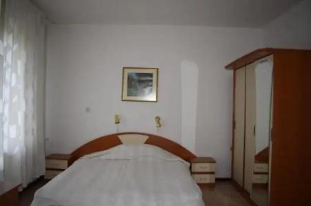 Velingrad Balneohotel - 4