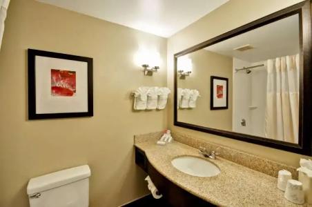 Hilton Garden Inn Tampa North - 77