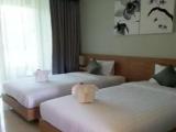 Deluxe Double room with balcony and with view