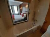 Deluxe Double room with balcony and with lake view