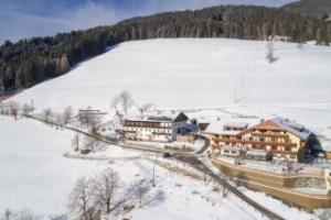 Hotel Schopfenhof, Toblach