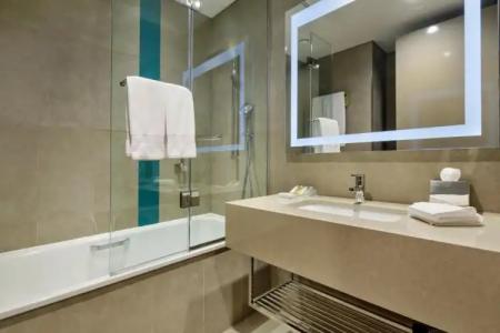 Hilton Garden Inn Istanbul Ataturk Airport - 74