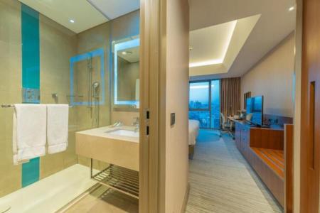 Hilton Garden Inn Istanbul Ataturk Airport - 71