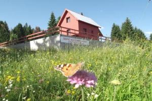 Sepic Accommodation, Zabljak