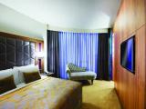 Executive Double Suite