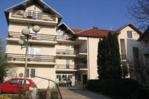 Apartments Bozinovic, Banja Aleksinacka