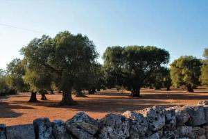 Finestre Sul Mare Salento - Case Vacanze, Punta Prosciutto