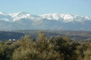 Saint Basil Olive Grove, Almirida