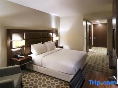 Mercure Istanbul West & Convention Center - 42