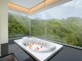 Premium Double room with mountain view