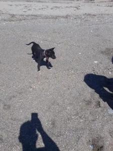 Nostalgia World OTEL - 44