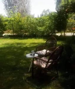 Nostalgia World OTEL - 50