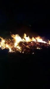 Nostalgia World OTEL - 45