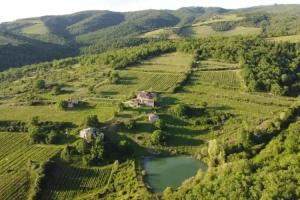 Farm Stay «Agriturismo Podere Tegline», Radda in Chianti