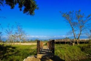 Sapana Village Lodge, Sauraha