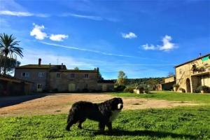 Agriturismo La Valentina Nuova, Talamone