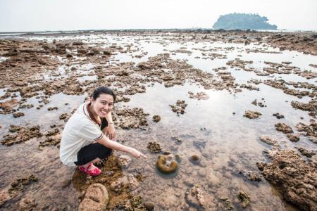 Andalay Beach Resort Koh Libong - 26