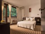 Standard Double room with mountain view