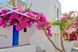 Hotel Glaronissia Rooms & Suites, Apollonia