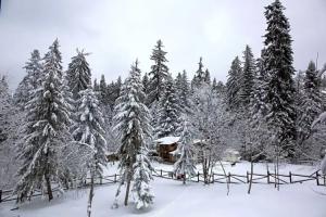 Victoria Hotel Borovets - Free Parking, Borovets