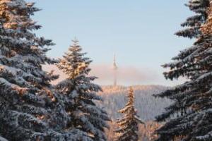 Elina Hotel, Pamporovo