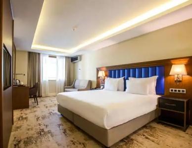 Ramada Plaza Sultanahmet - 67