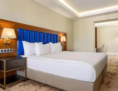 Ramada Plaza Sultanahmet - 68