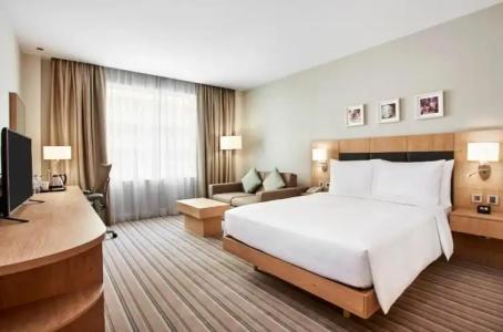 Hilton Garden Inn Dubai Mall Of The Emirates - 73