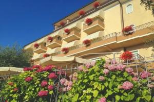 Hotel «Pace», Torri del Benaco