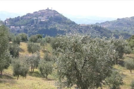 Terre D'Orcia - 20