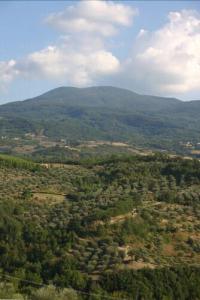 Terre D'Orcia - 38