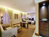 Executive Double Suite with view