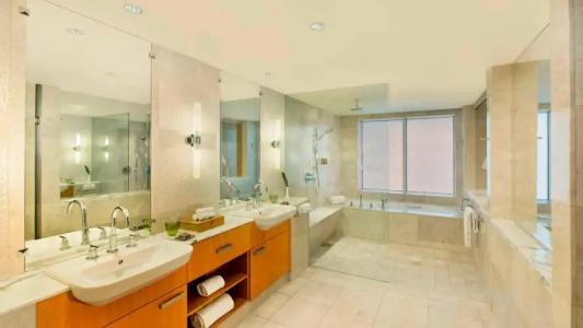 Ritz Carlton Residences DIFC Downtown Dubai - 46