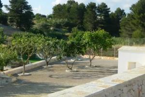 Bed & Breakfast «Tre Tornesi - Trois Livres», Martina Franca