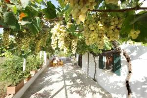 Bed & Breakfast «B&B Casale Spisari», Galatone