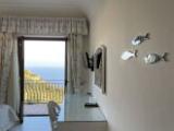 Standard Double room with balcony and with sea view