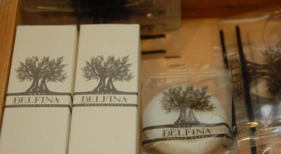 Delfina Palace - 29