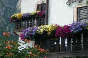 Hotel Stella Alpina, Fai della Paganella