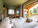 Standard Double room with panoramic view