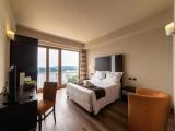 Standard Double room with lake view