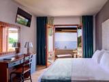 Standard Double room with balcony and with sea view