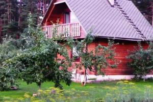 Holiday House Niedras Jurmala, Jurmala