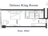 Deluxe Double room with city view