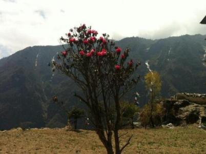 Mountain Lodges of Nepal - Namche - 22