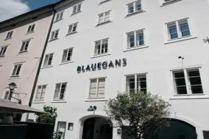 artHotel Blaue Gans, Salzburg