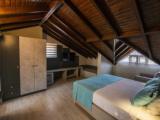 Panaromic Attic Double room