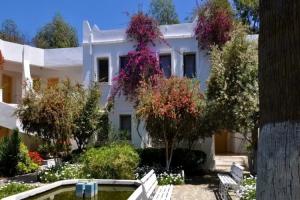 Hotel Atrium, Bodrum