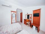 Standard Double room with balcony and with garden view